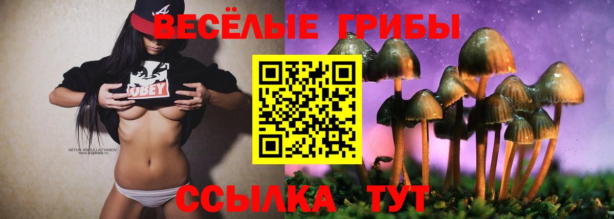 купить  цена  Вход с VPN  Каменск-Шахтинский  Галлюциногенные грибы Psilocybe 